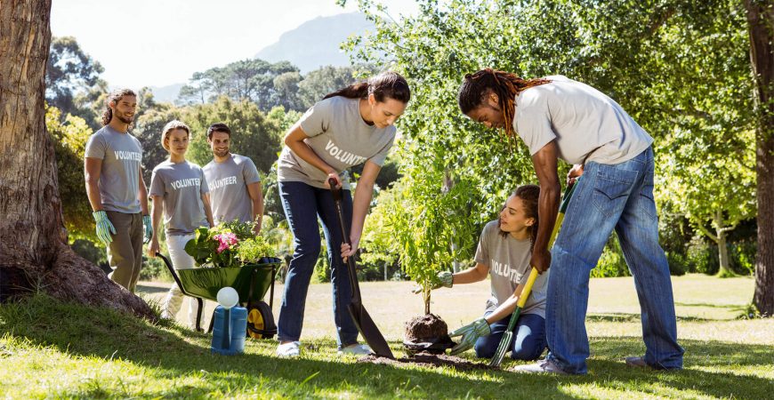 Health and Cleaning Services in West Africa